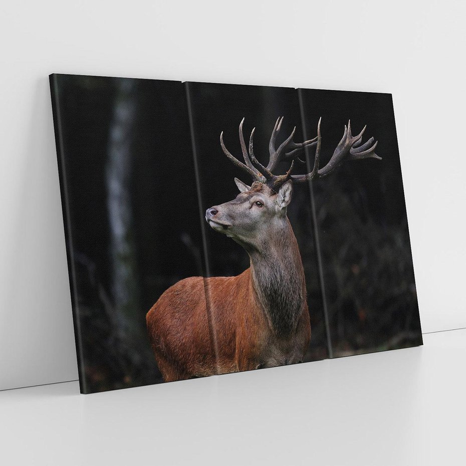 Obraz na płótnie 120x80 - Spotkanie z naturą - jeleń, las