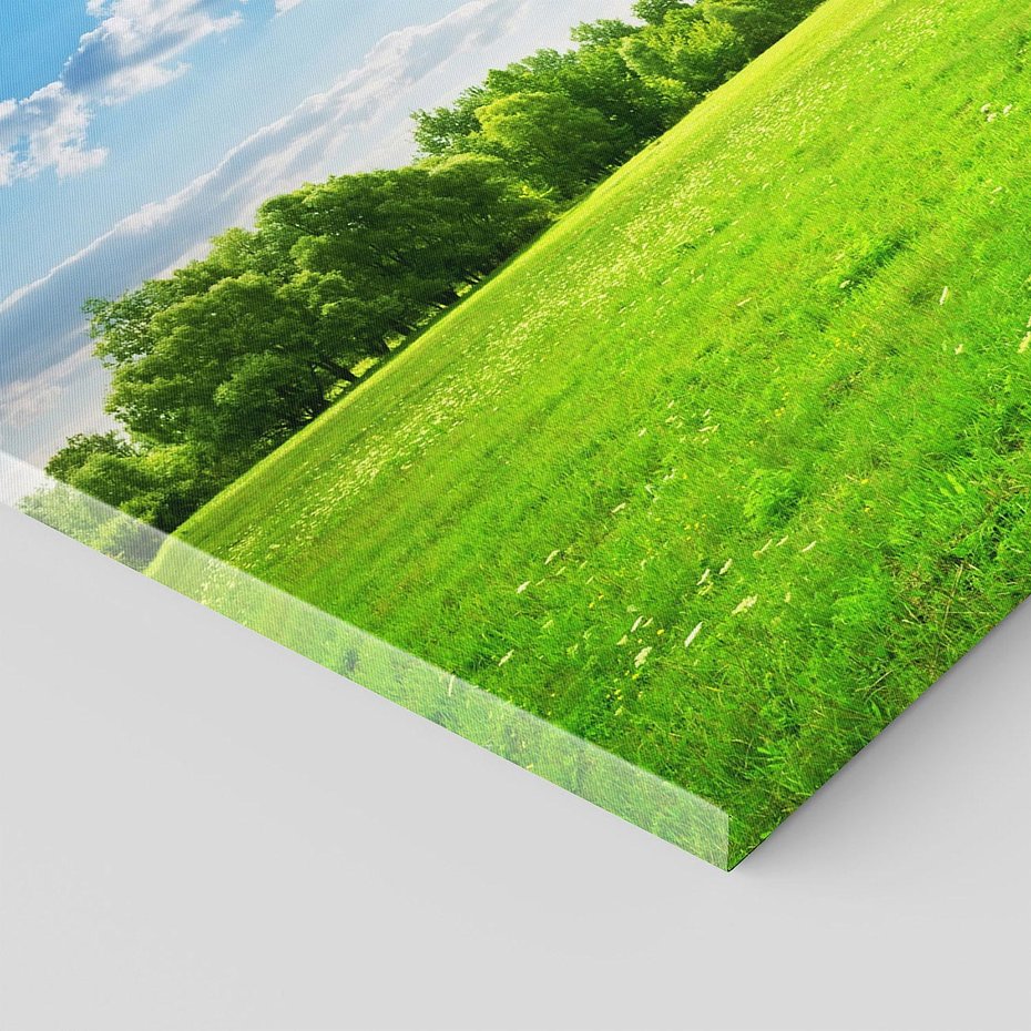 Obraz na płótnie 120x60 - Idylla na łące drzew - łąka, drzewa