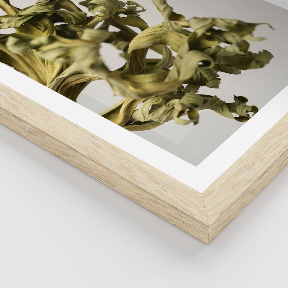 Plakat w ramie 40x50 - Odejście pory deszczowej - suche, trawy - rama drewno