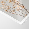 Plakat bez ramy 30x40 - Delikatne gipsówki - gipsówka, suche