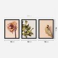 Zestaw obrazy w ramie 50x70 galeria - Minimalistyczne, suszone, kwiaty, boho - rama czarna
