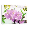 Obraz na płótnie 70x50 - Orchidea w SPA - spa, orchidea
