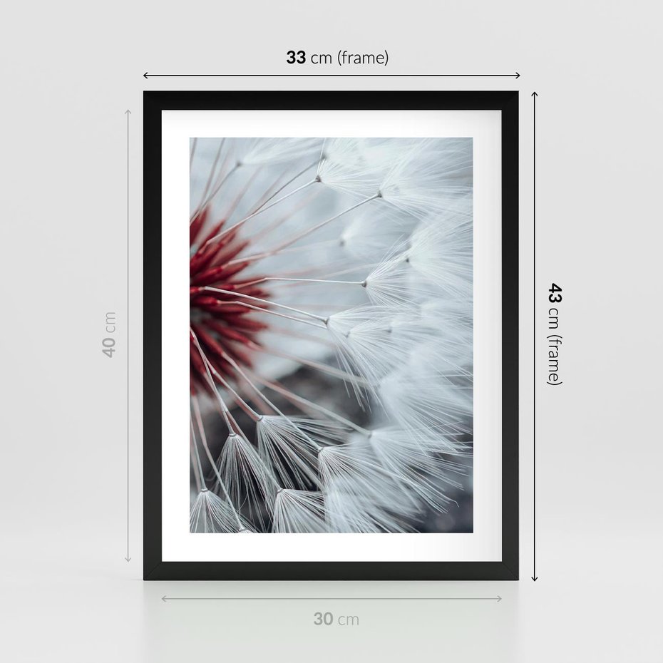 Plakat w ramie 30x40 - Makro świat dmuchawca - dmuchawiec, makro - rama czarna