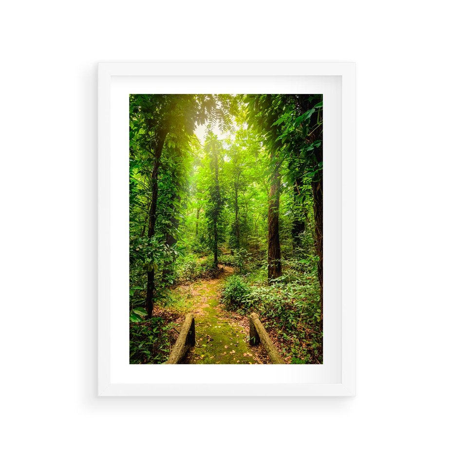 Plakat w ramie 30x40 - Współistnienie z naturą - drzewa, las - rama biała