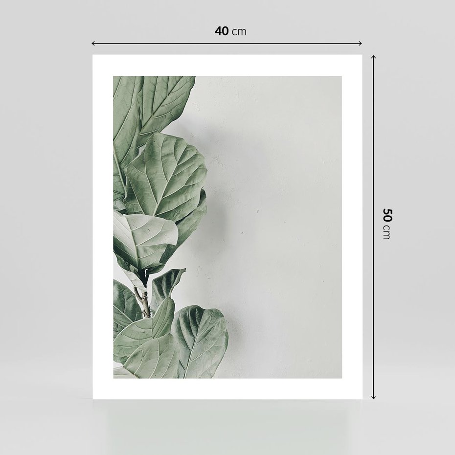 Plakat bez ramy 40x50 - Minimalistyczna Harmonia: Zieleń Liści - zieone liście, kompozycja