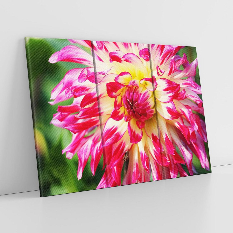 Obraz na płótnie 120x80 - Kwiatowa harmonia - kwiat, kwiaty