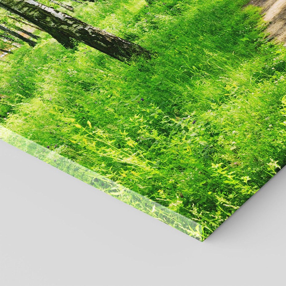 Obraz na płótnie 50x70 - odkryj piękno drzew - las, drzewa