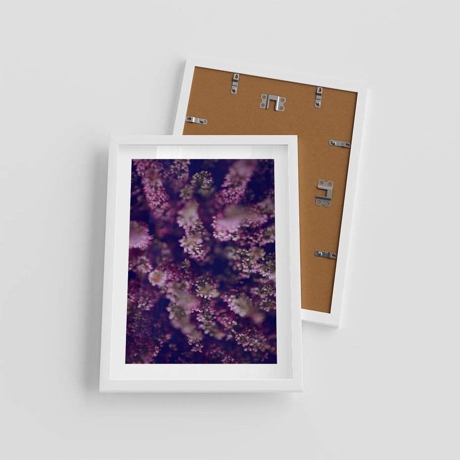 Plakat w ramie 30x40 - Wrzosowa Delikatność - wrzosy, kwiaty - rama biała