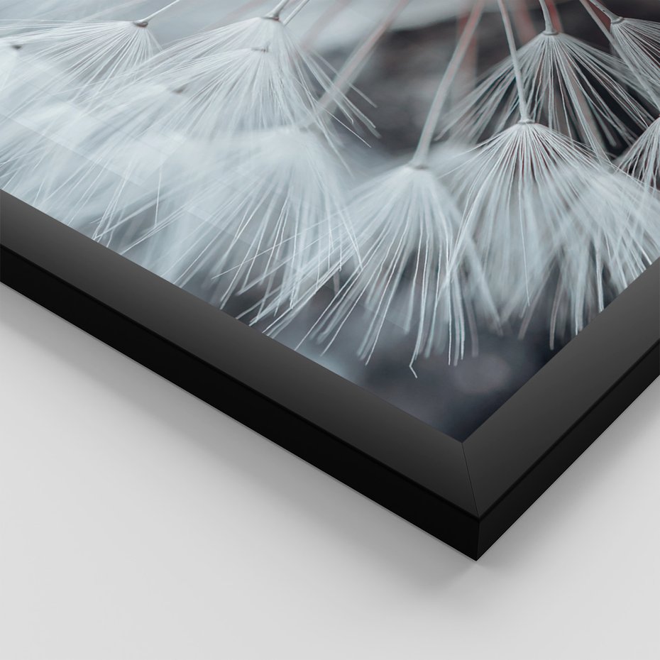 Zestaw obrazy w ramie 40x50 galeria - Dmuchawiec, nowoczesny, minimalizm - rama czarna