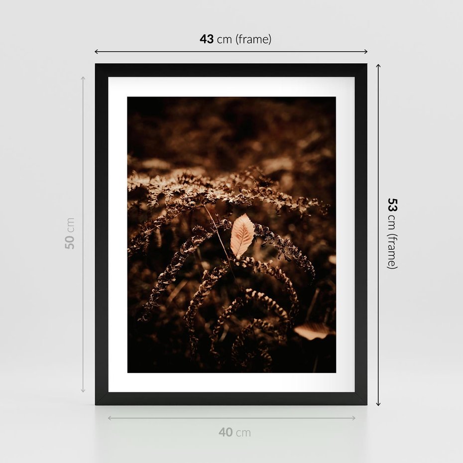 Plakat w ramie 40x50 - Gałęzie i Liść w Brązowej Tonacji - suche gałęzie, liść - rama czarna