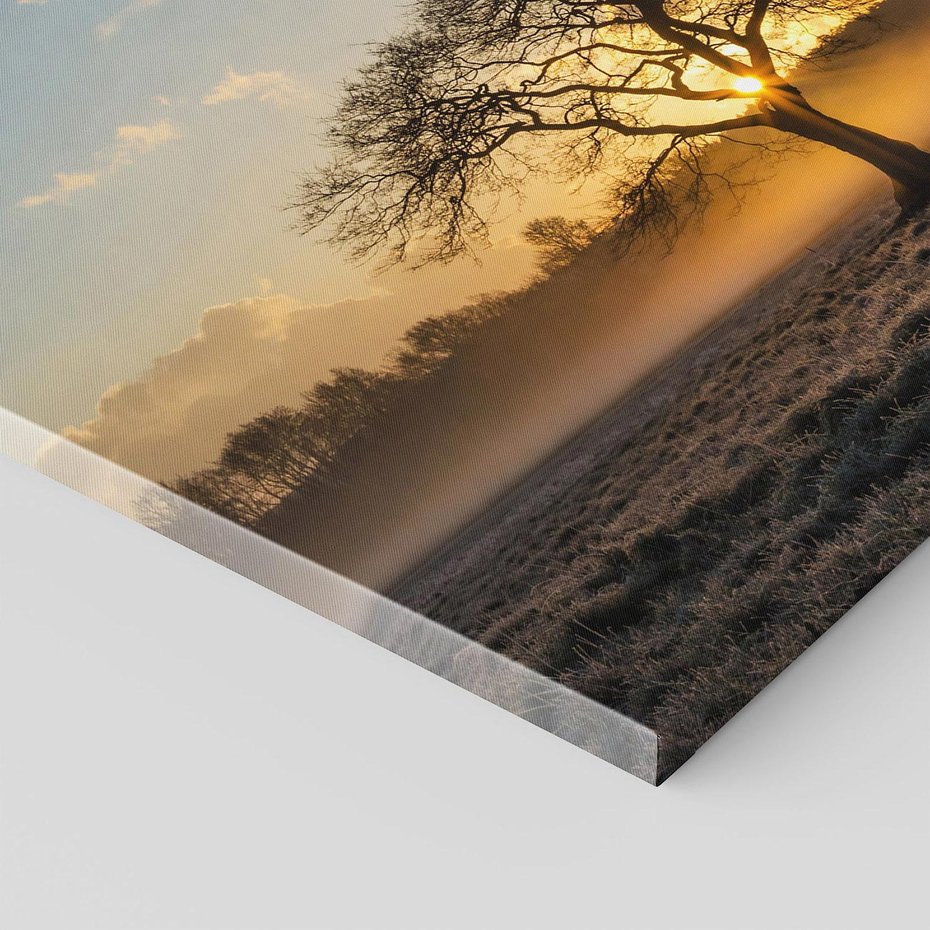 Obraz na płótnie 120x80 - Drzewo w mgle: Piękno jesiennego poranka - drzewo, mgła