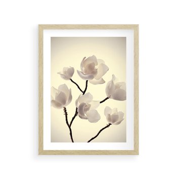 Plakat w ramie 40x50 - Elegancja Natury - magnolia, białe - rama drewno
