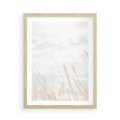 Plakat w ramie 50x70 - Jasna Delikatność: Fotografia Suchych Traw - suche trawy, jasna fotografia - rama drewno