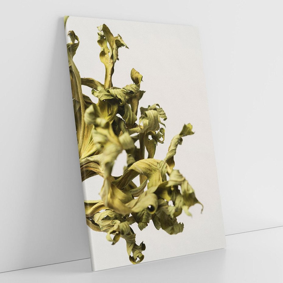 Obraz na płótnie 70x100 - Odejście pory deszczowej - suche, trawy