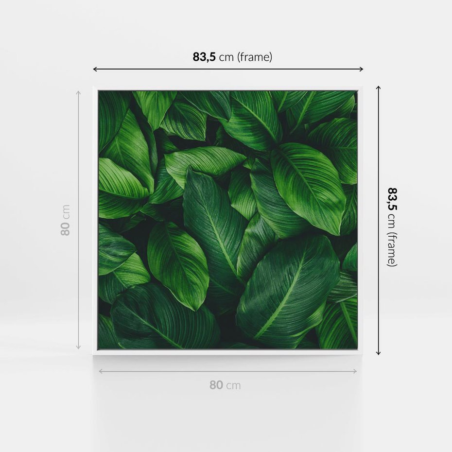 Obraz w ramie 80x80 - Palma Liście Kwiat - palma, liście - rama biała