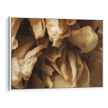 Obraz w ramie 70x50 - Zjawiskowe zasuszone kwiaty - zasuszone, kwiaty - rama biała