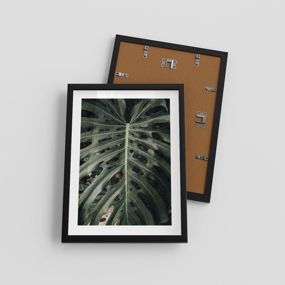 Plakat w ramie 30x40 - Majestatyczny Liść Monstery - liść monstery, majestatyczny liść - rama czarna