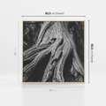 Obraz w ramie 80x80 - Siła Natury - czarno biała fotografia, korzenie wielkiego drzewa - rama drewno