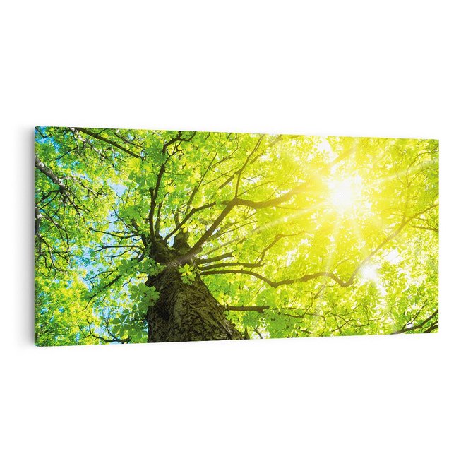 Obraz na płótnie 100x50 - Drzewo pod Słońcem: Łączność z Naturą - drzewo, słońce