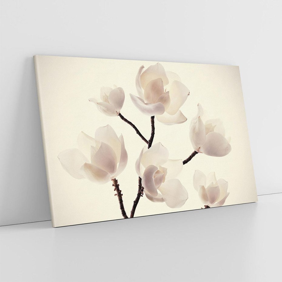 Obraz na płótnie 120x80 - Elegancja Natury - magnolia, białe