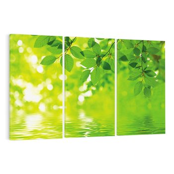 Obraz na płótnie 120x80 - Liście w Wodzie - liście, woda