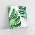 Obraz na płótnie 40x40 - Monstera - Liście Kwiaty - monstera, liście