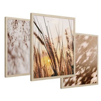 Zestaw obrazy w ramie 50x70 galeria - Trawy, zachód, słońca, cienie - rama drewno