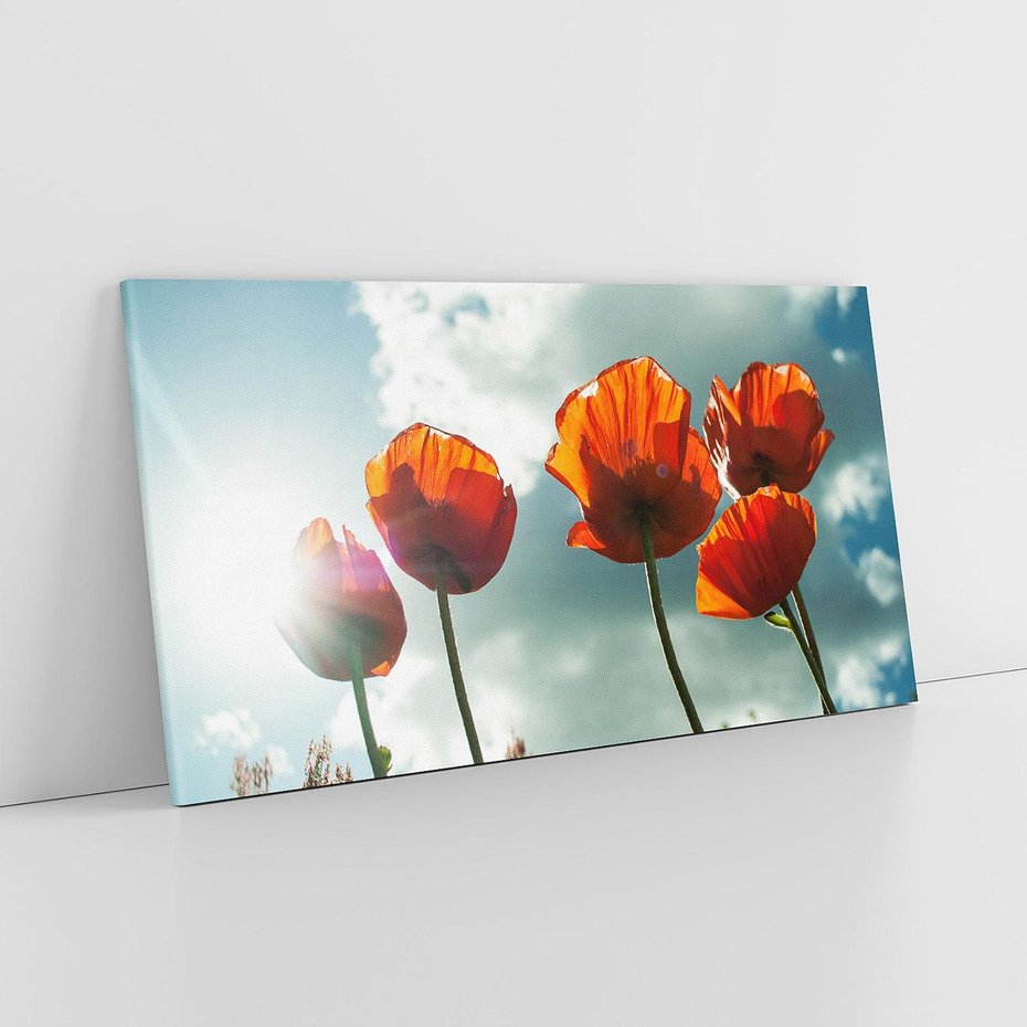 Obraz na płótnie 100x50 - Kwiaty pod niebem: piękno natury - kwiaty, niebo