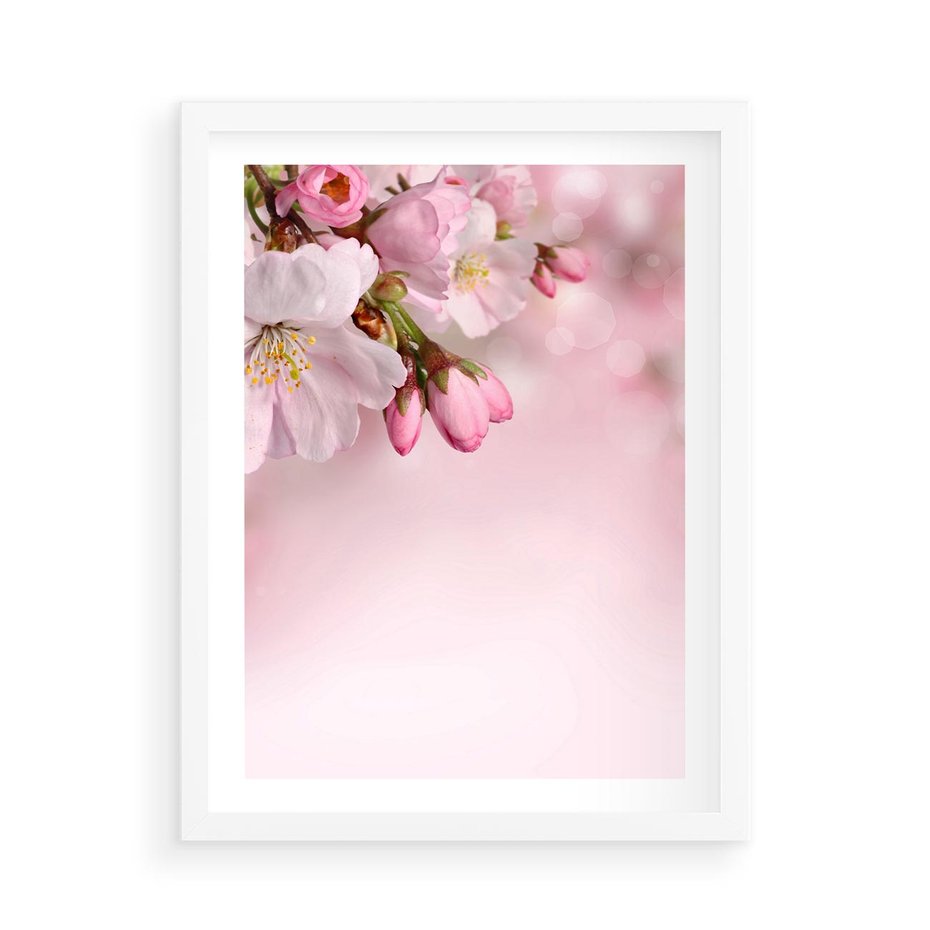 Plakat w ramie 50x70 - Kwitnąca wiśnia: delikatność natury - kwitnąca, wiśnia - rama biała