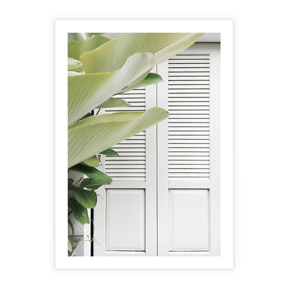 Plakat bez ramy 40x50 - Tropikalne Okno - białe okiennice, zielona tropikalna roślina