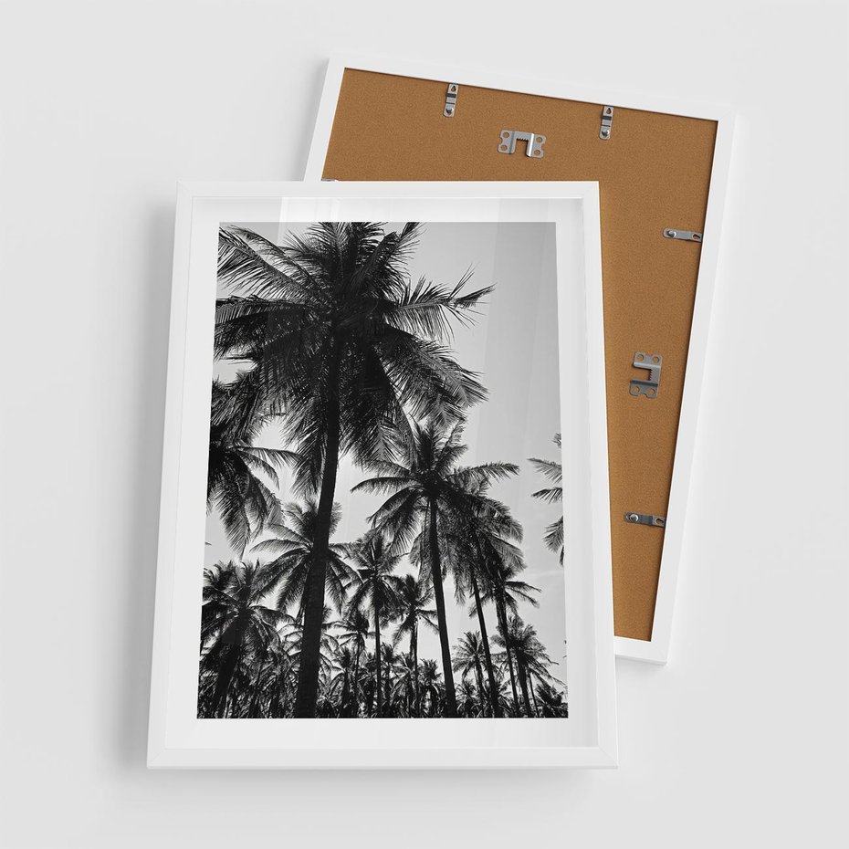 Plakat w ramie 50x70 - Mono Tropiki - palmy, drzewa palmowe - rama biała
