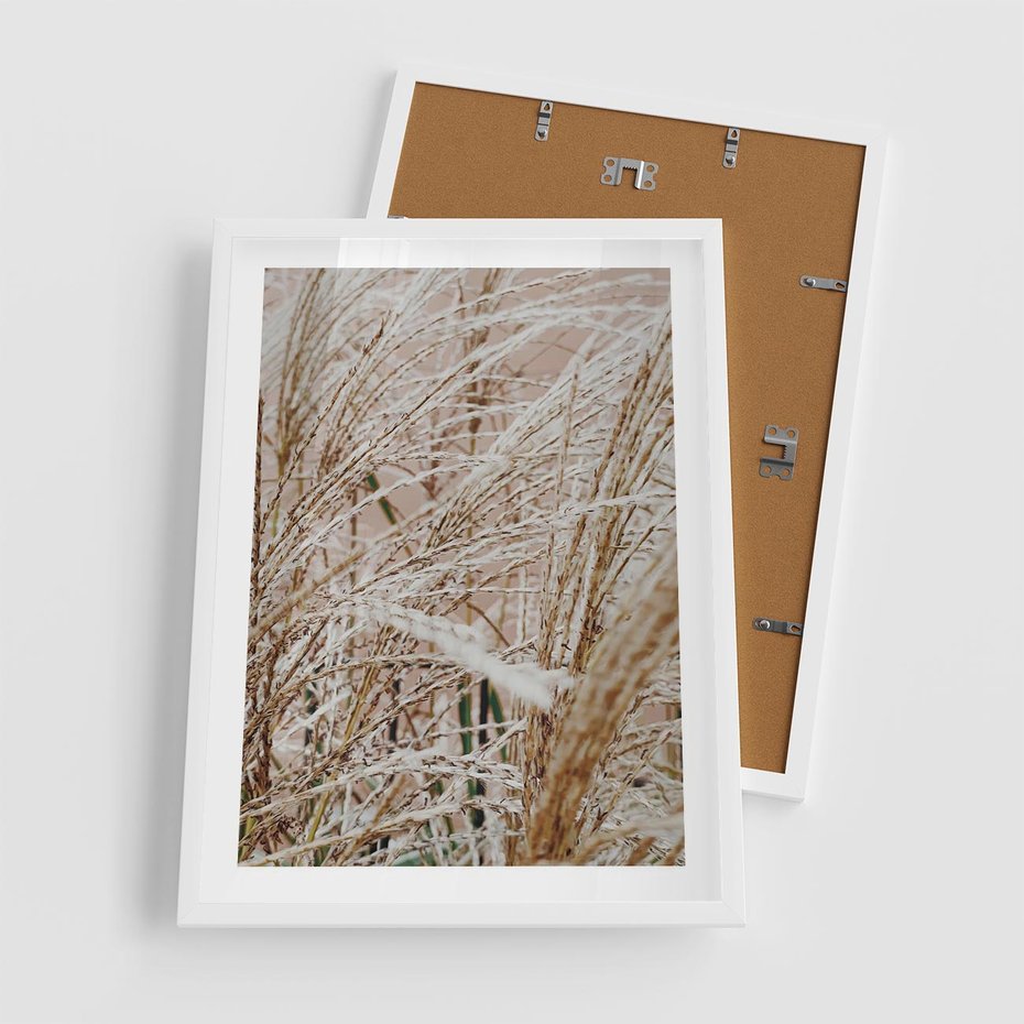 Plakat w ramie 50x70 - Beżowa Trawa - suche trawy, zbliżenie - rama biała