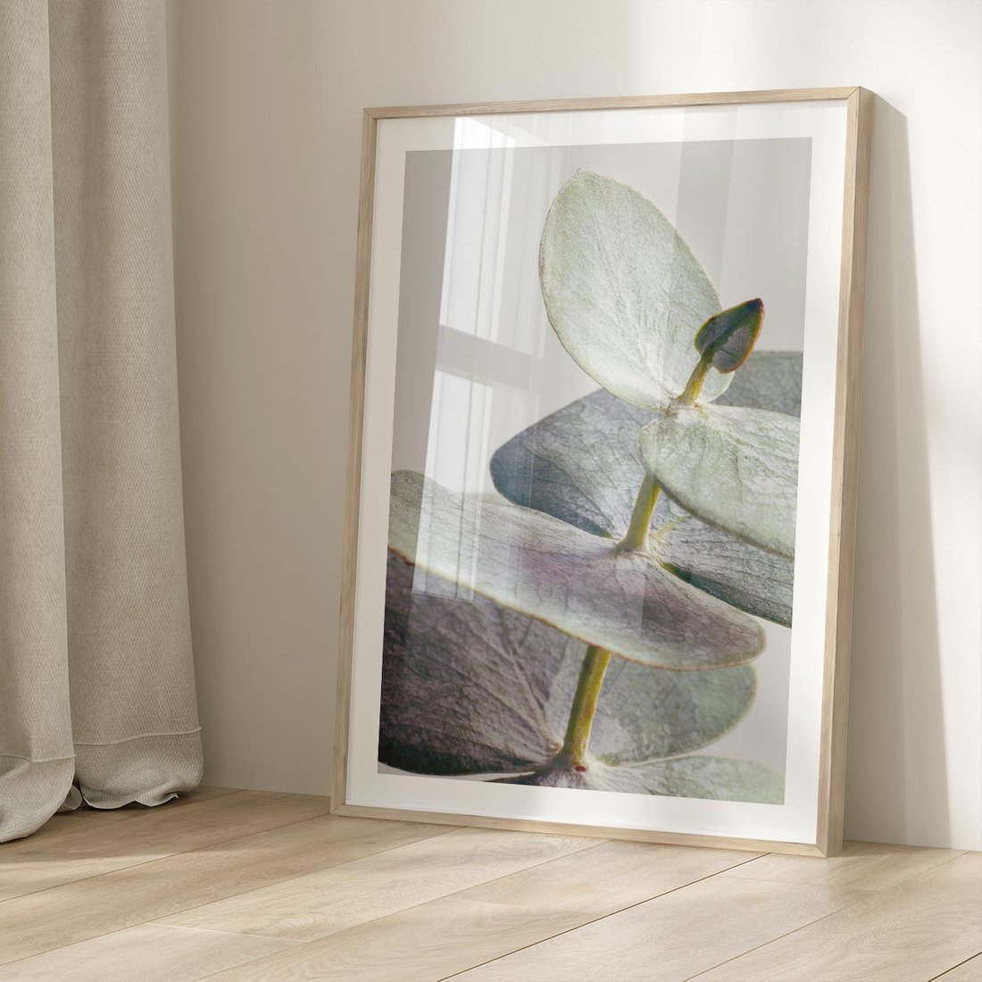 Plakat w ramie 40x50 - Zbliżenie Liści Eukaliptusa - eukaliptus, zbliżenie - rama drewno