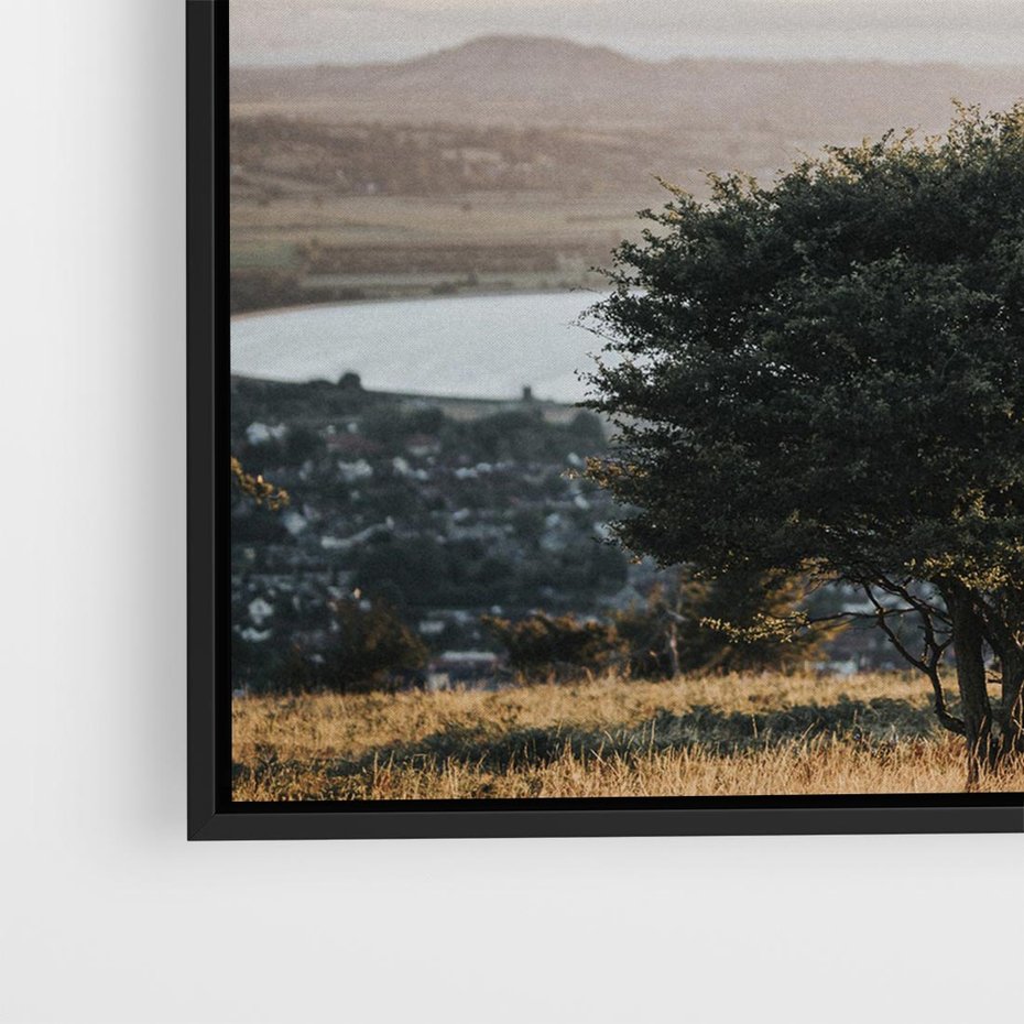 Obraz w ramie 50x50 - Siła Natury - drzewo, pejzaż - rama czarna