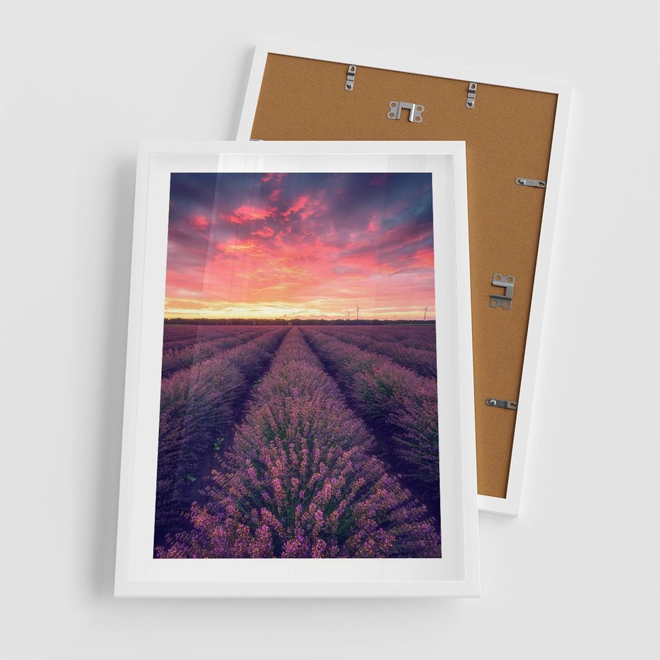 Plakat w ramie 50x70 - Różowe Niebo nad Polami - pola lawendy, zachód słońca - rama biała