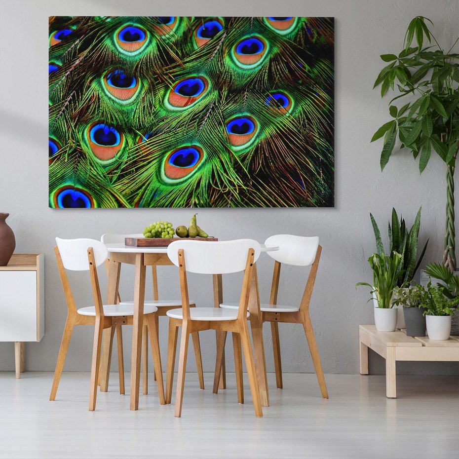 Obraz na płótnie 70x50 - Pawi Ogon - Piękno i Wspaniałość - paw, pióra