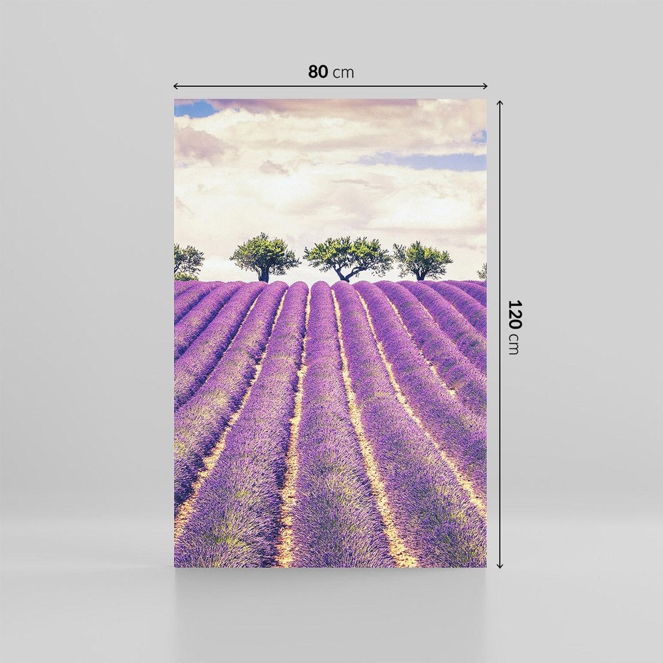 Obraz na płótnie 80x120 - Uroda Lawendy: Kwiatowy Cud Natury - lawenda, kwiaty