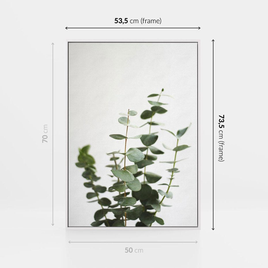 Obraz w ramie 50x70 - Żywa eukaliptusowa zieleń - eukaliptus, zielone - rama biała