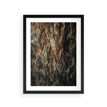 Plakat w ramie 50x70 - Tekstura Drewna: Zbliżenie - zbliżenie na pień drzewa, tekstura - rama czarna