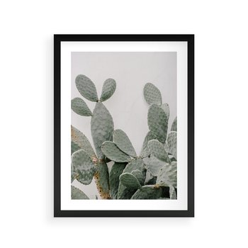 Plakat w ramie 40x50 - Imponujący Kaktus - duży kaktus, opuncja - rama czarna