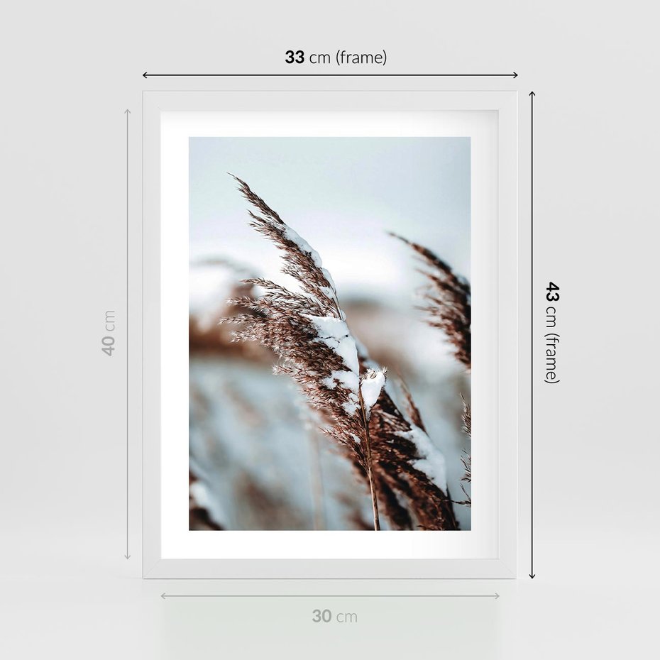Plakat w ramie 30x40 - Zima na Suchych Trawach - suche trawy, śnieg wysokich na trawach - rama biała