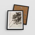 Plakat w ramie 40x50 - Tajemniczy Cień Traw - cień traw, na ścianie - rama czarna