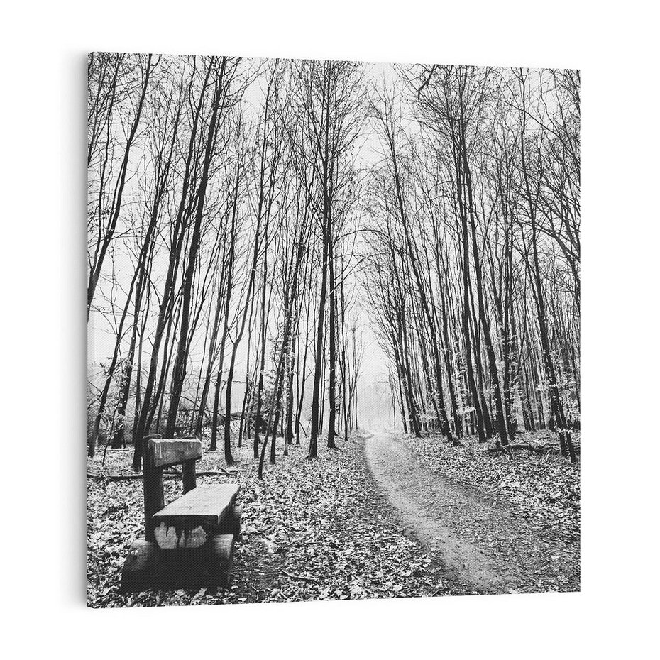 Obraz na płótnie 40x40 - Spadające Liście - czarno białe zdjecie, park