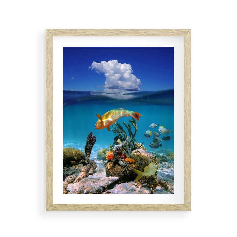 Plakat w ramie 40x50 - Podwodna rafa koralowa: kolorowy oceanowy świat - rafa, koralowa - rama drewno