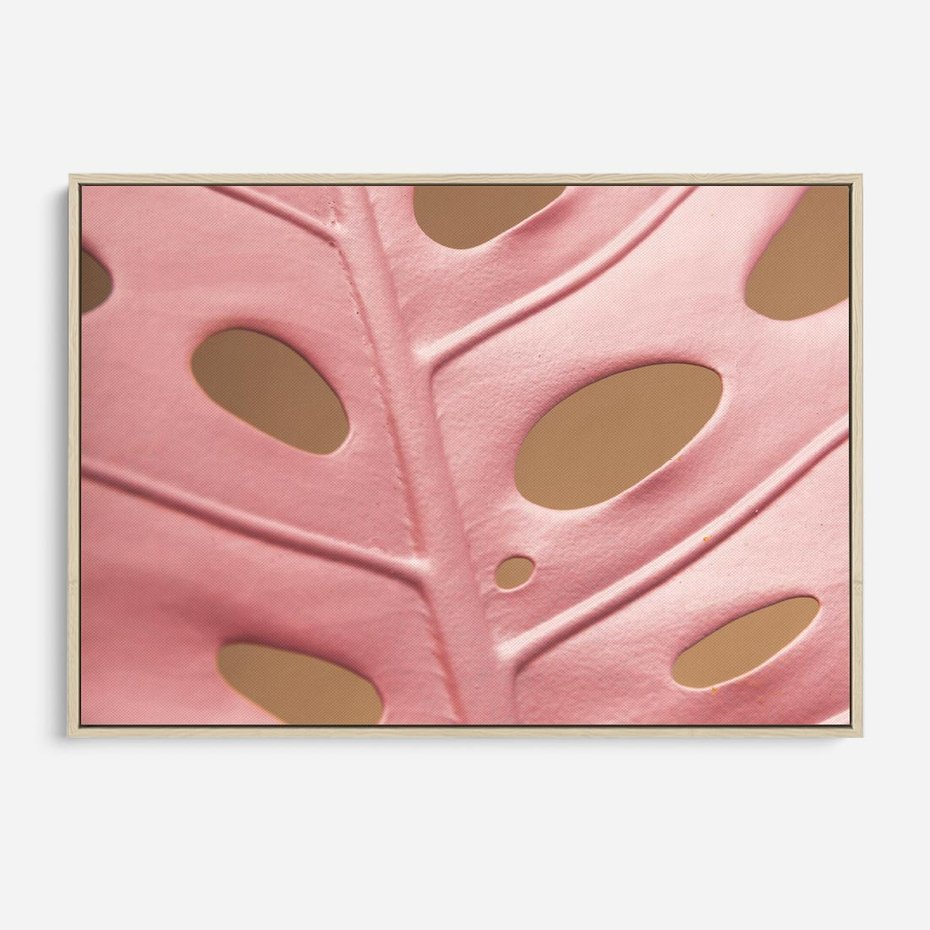 Obraz w ramie 100x70 - Różowa monstera w pełnym rozkwicie - różowa, monstera - rama drewno