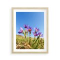 Plakat w ramie 40x50 - Kwiatowa siła łąki - kwiaty, łąka - rama drewno