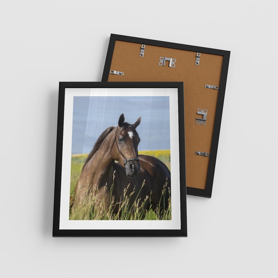 Plakat w ramie 40x50 - Siła i piękno natury - koń, łąka - rama czarna