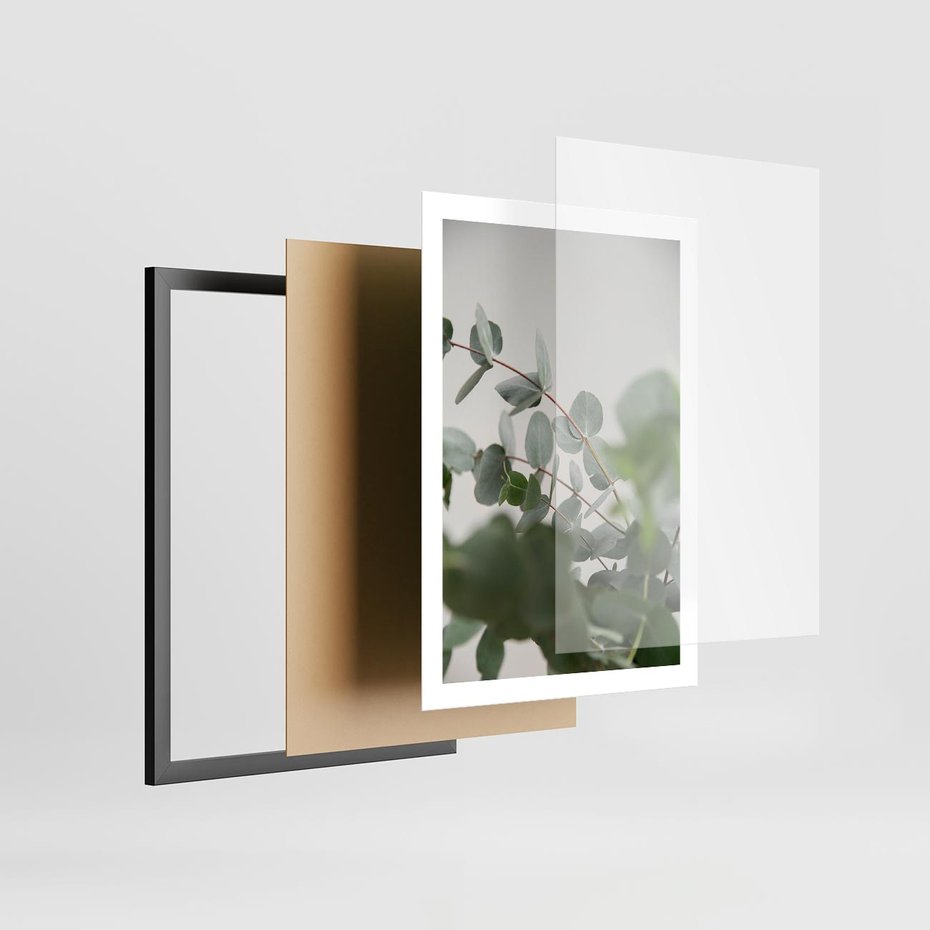 Plakat w ramie 50x70 - Liście eukaliptusa w naturze - eukaliptus, liście - rama czarna