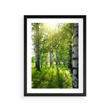 Plakat w ramie 50x70 - Lasowa Księżycowa Noc - las, drzewa - rama czarna