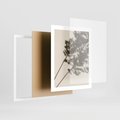 Plakat w ramie 40x50 - Tajemniczy Cień Traw - cień traw, na ścianie - rama biała